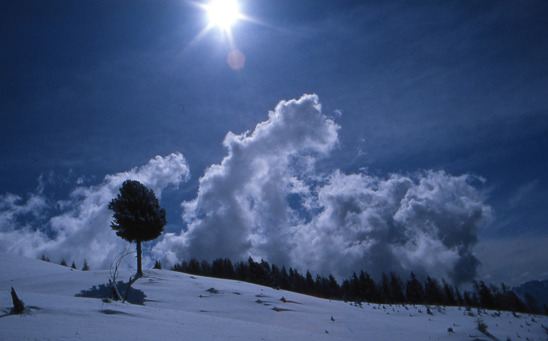 ......libert�.............................